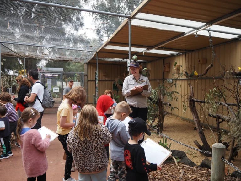Zoo Keeper laughing as she shows off birds to school children