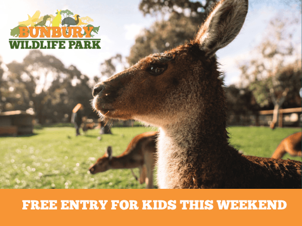 Bunbury Wildlife Park Kids Free on AFL Weekend