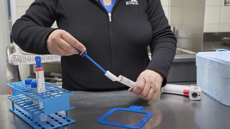 employee holding swap test tube testing
