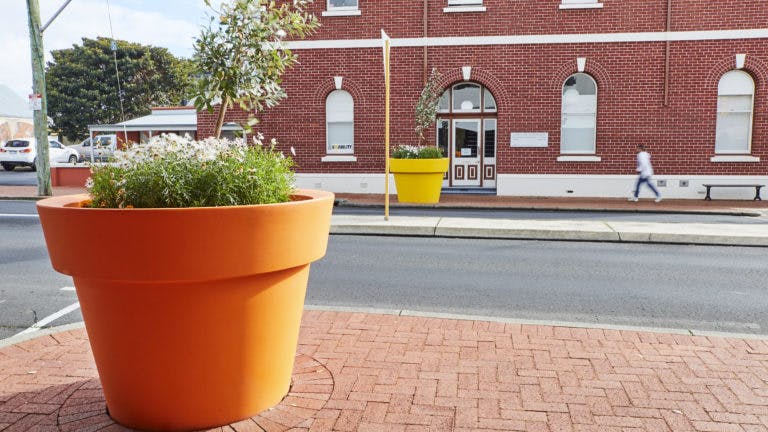 Oversized orange pot filled with daisies