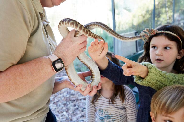 snake children reaching out