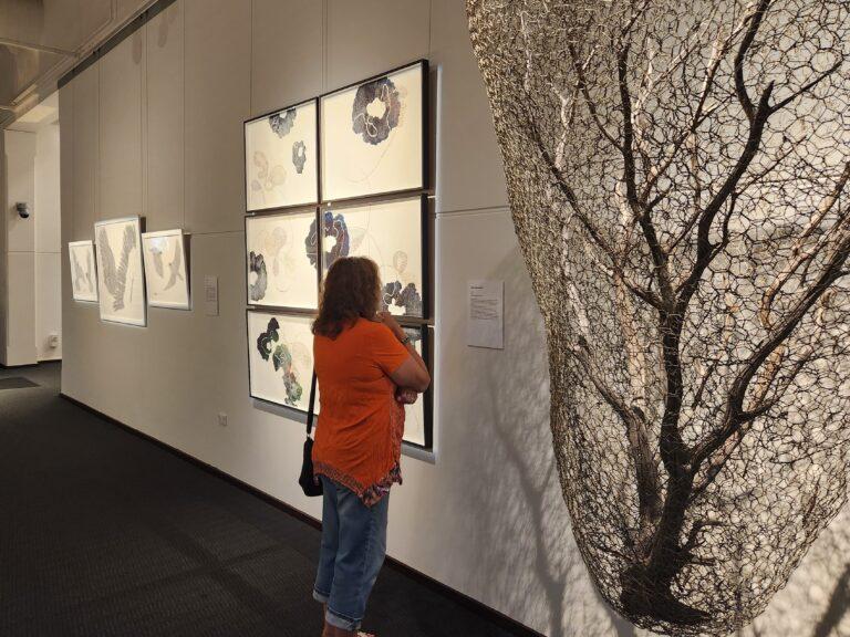 Installation view Biennale A Cultural Ecology left to right Sally Stoneman Treeson 2023. Sarah Thornton Smith sutra 2023. Fiona Rafferty Flight Plan 2023 scaled aspect ratio 4 3 scaled