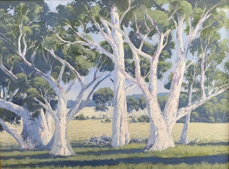 painting of white barked gum trees growing on grassed paddock