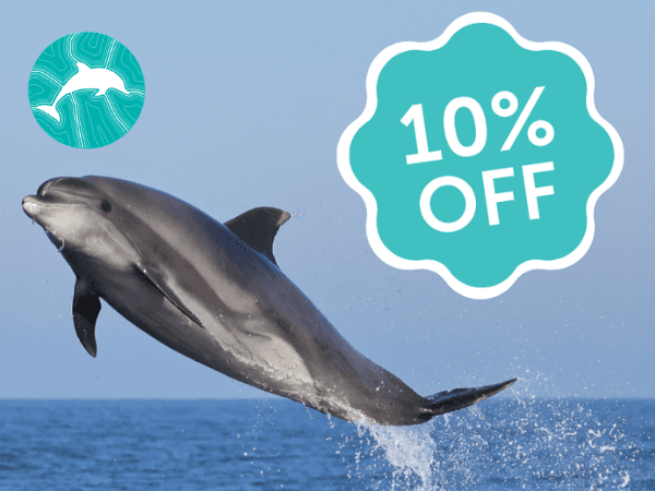 10% Discounted Entry on AFL Weekend